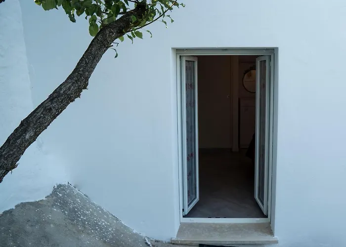 N228 - Numana, Quadrilocale Ristrutturato Con Giardino Appartamento *